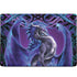 Dragonsword Stormblade by Ruth Thompson MacBook Skins
